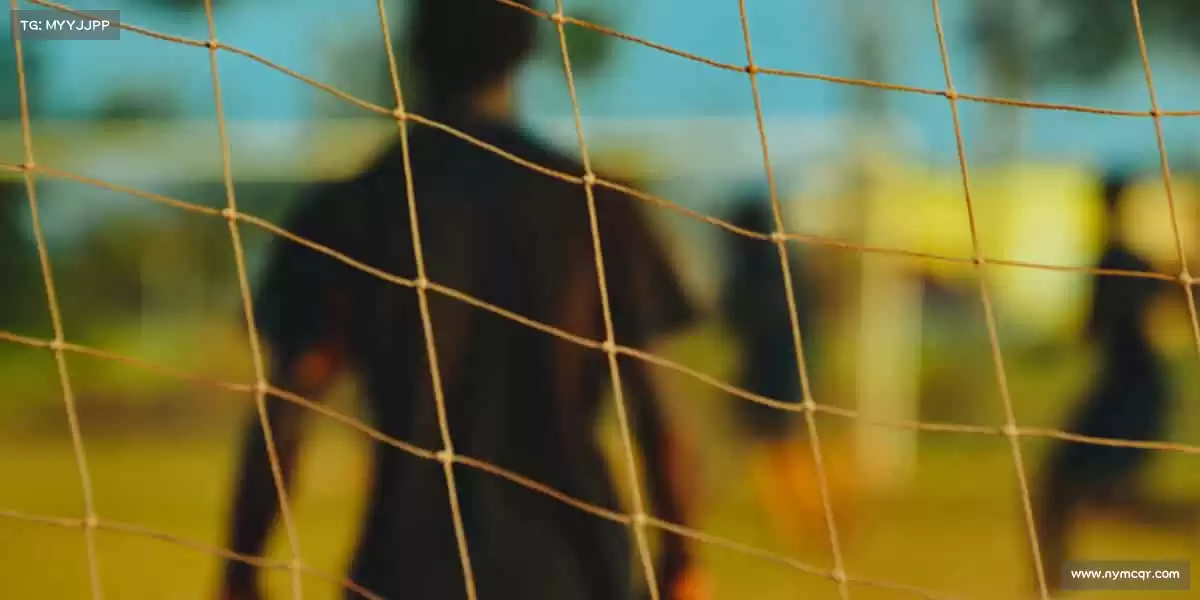 行业领先的理由